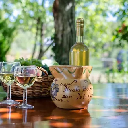 Σπίτι διακοπών Rustical Stone House With Pool Ruzici (Sveta Nedelja)